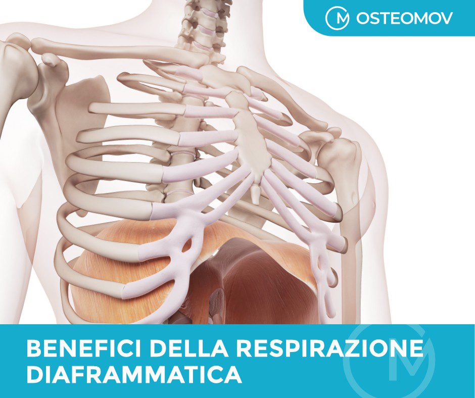 benefici della respirazione diaframmatica